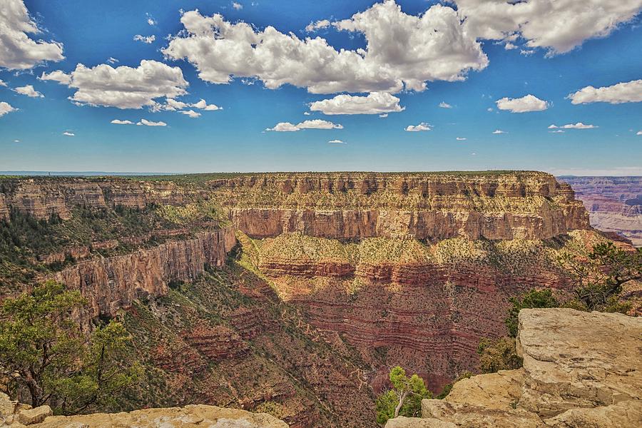 Grand Canyon Vista 12 Photograph by Marisa Geraghty Photography