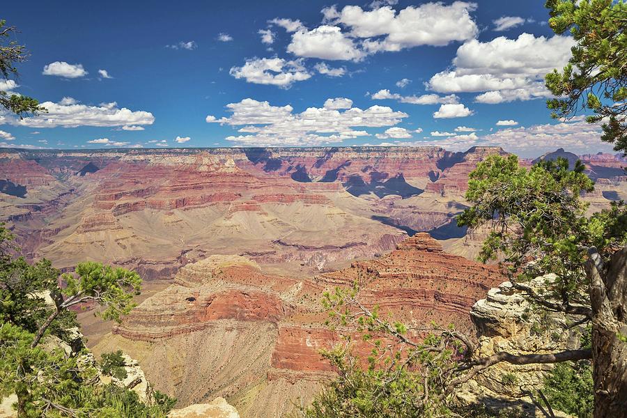 Grand Canyon Vista 14 Photograph by Marisa Geraghty Photography