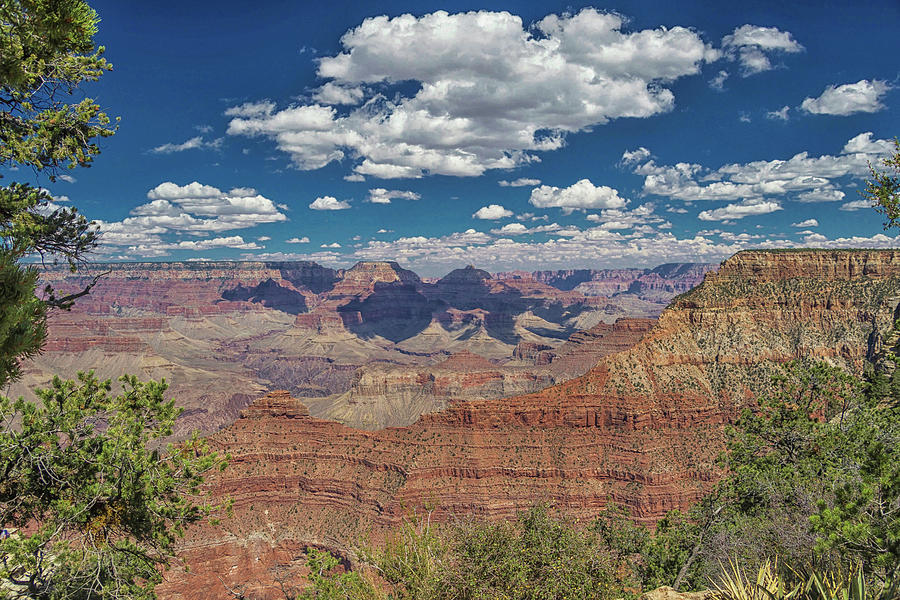 Grand Canyon Vista 15 Photograph by Marisa Geraghty Photography
