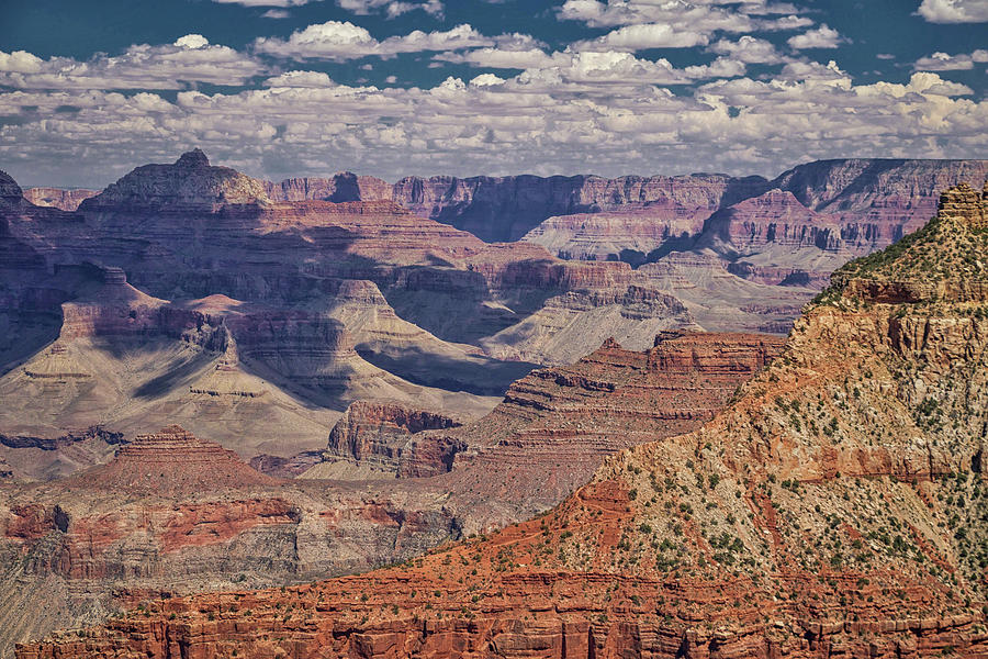 Grand Canyon Vista 16 Photograph by Marisa Geraghty Photography