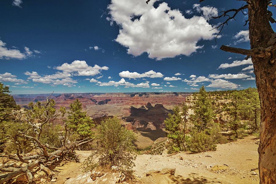Grand Canyon Vista 2 Photograph by Marisa Geraghty Photography