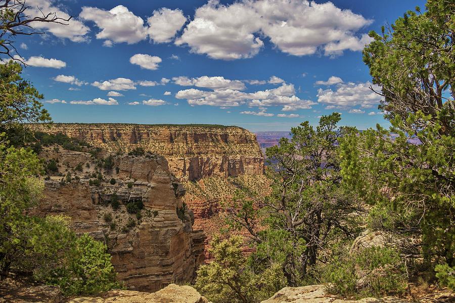Grand Canyon Vista 3 Photograph by Marisa Geraghty Photography
