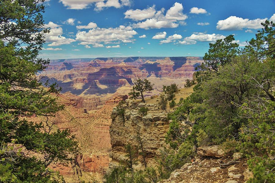 Grand Canyon Vista 4 Photograph by Marisa Geraghty Photography