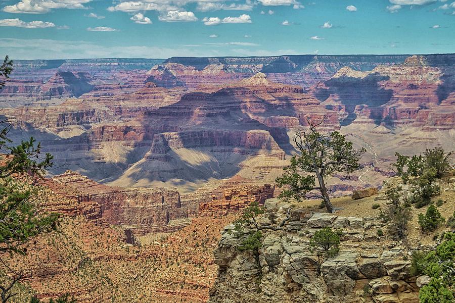 Grand Canyon Vista 5 Photograph by Marisa Geraghty Photography