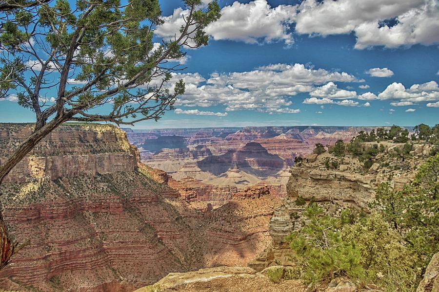 Grand Canyon Vista 6 Photograph by Marisa Geraghty Photography