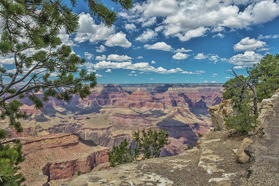 Grand Canyon Vista 8 Photograph by Marisa Geraghty Photography