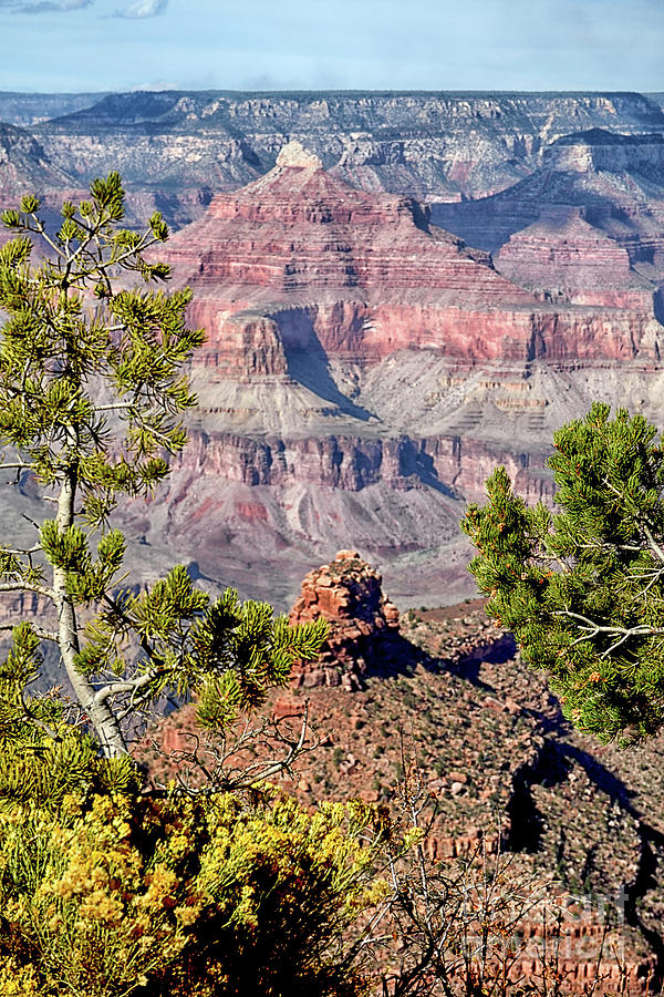 Grand Canyon Vista Photograph by Norman Gabitzsch