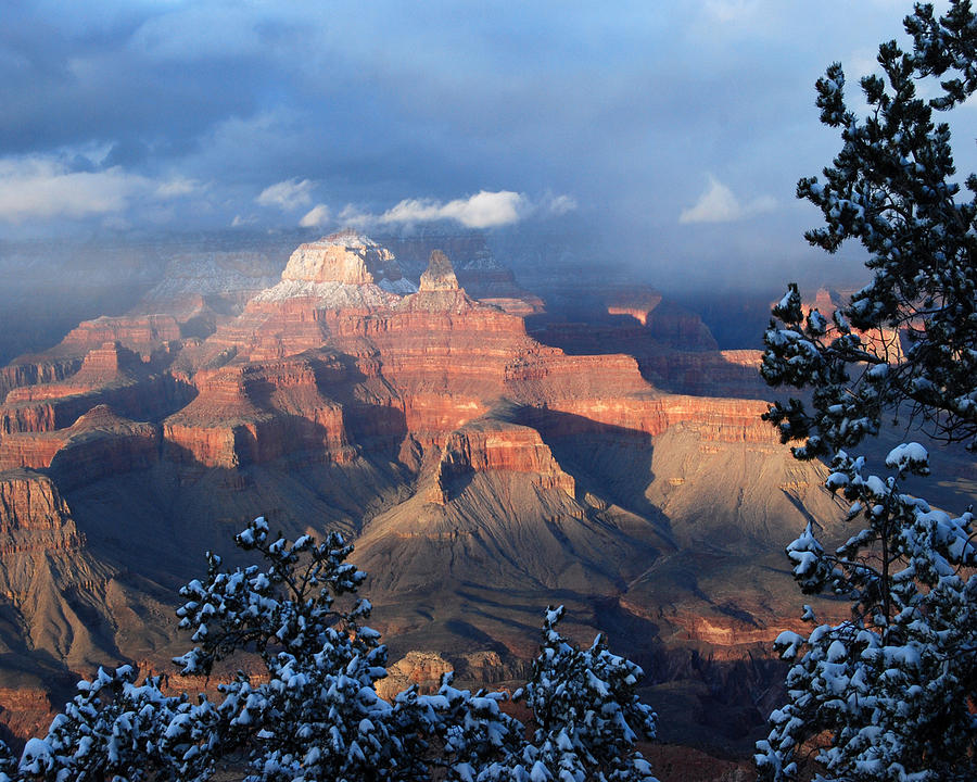 Grand Canyon Vista Photograph by Pamela Peters