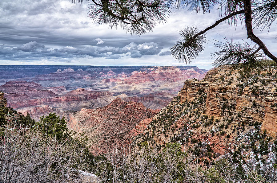 Grand Canyon National Park Photograph - Grand Canyon Vista by Robert VanDerWal