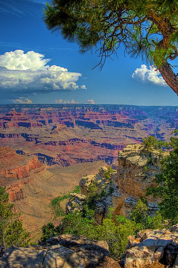Grand Canyon National Park Photograph - Grand Canyon Vista by William Wetmore
