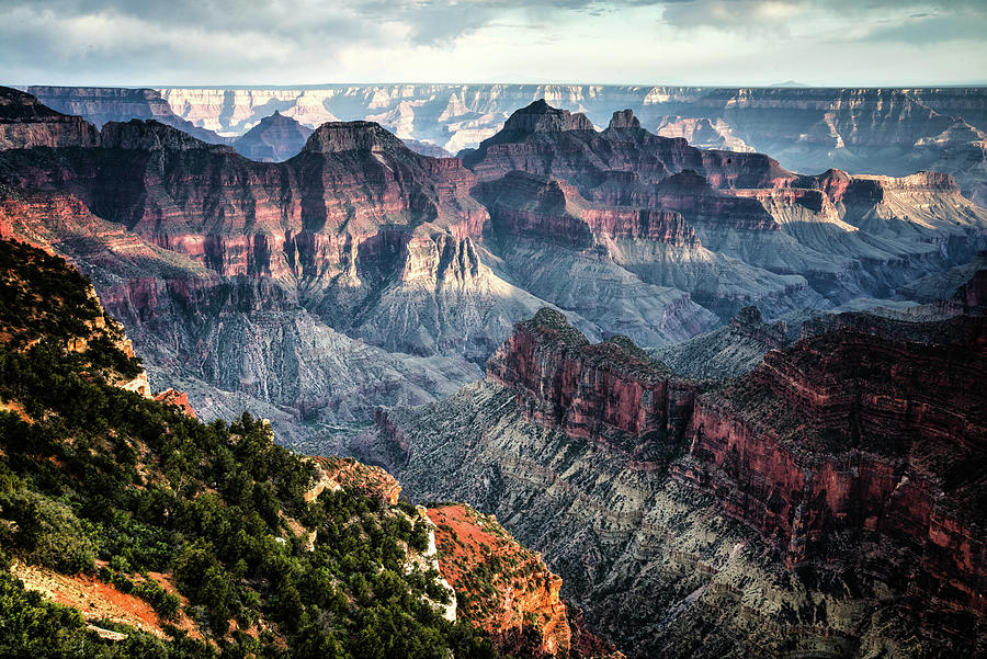 Grand Canyon Photograph by Walt Sterneman
