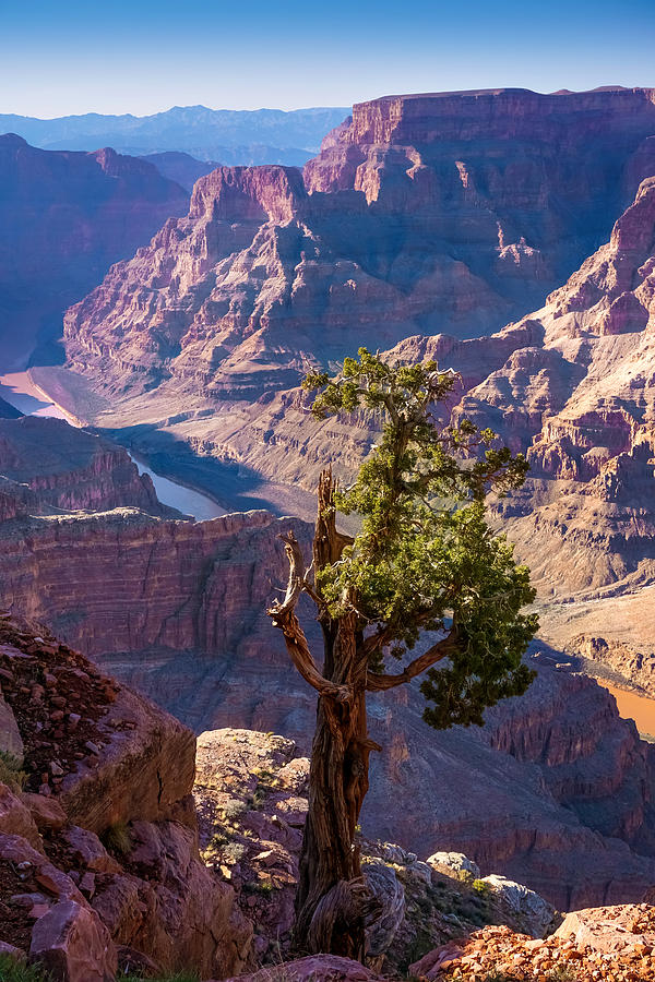 Grand Canyon West Photograph by Lutz Baar