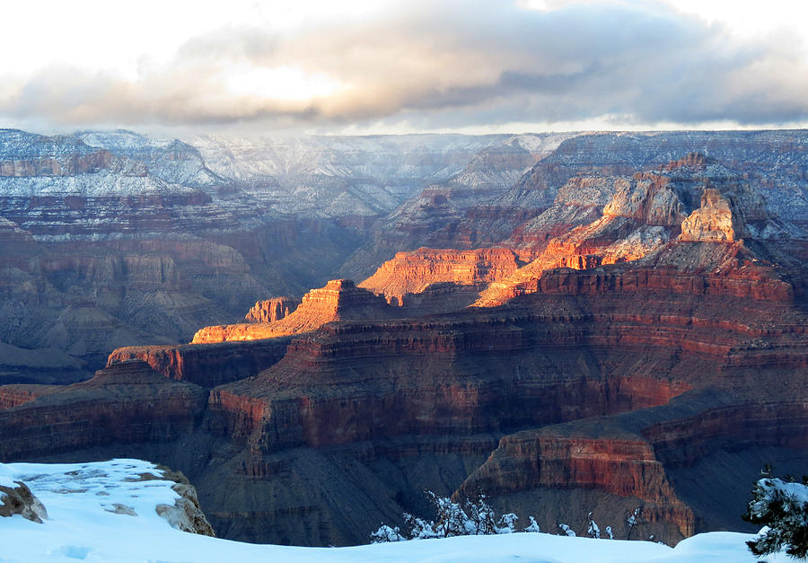 Grand Canyon with Snow Photograph by Laurel Powell