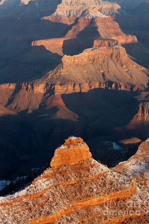 Grand Canyon Yaki Point Photograph by Clarence Holmes