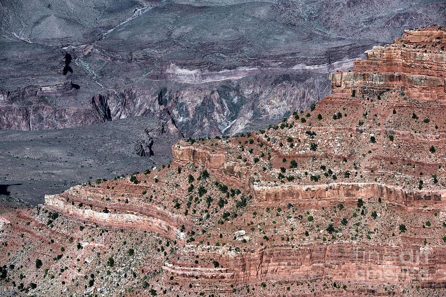 Grand Canyon Yaki Point Photograph by Norman Gabitzsch