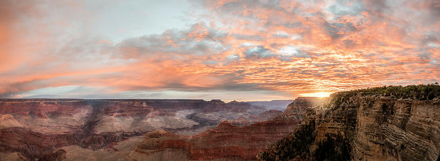 Grand Color in the Canyon Photograph by Jon Glaser