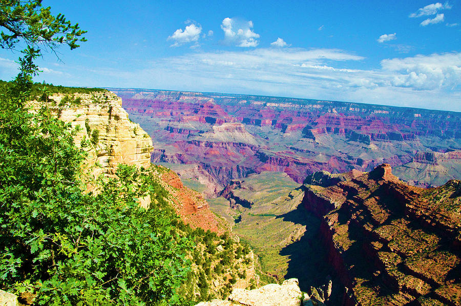 Grand Colors Photograph by Terry Anderson