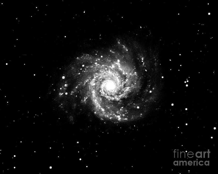 Grand Design Spiral Galaxy, M74, Ngc 628 Photograph by Noao/aura/nsf