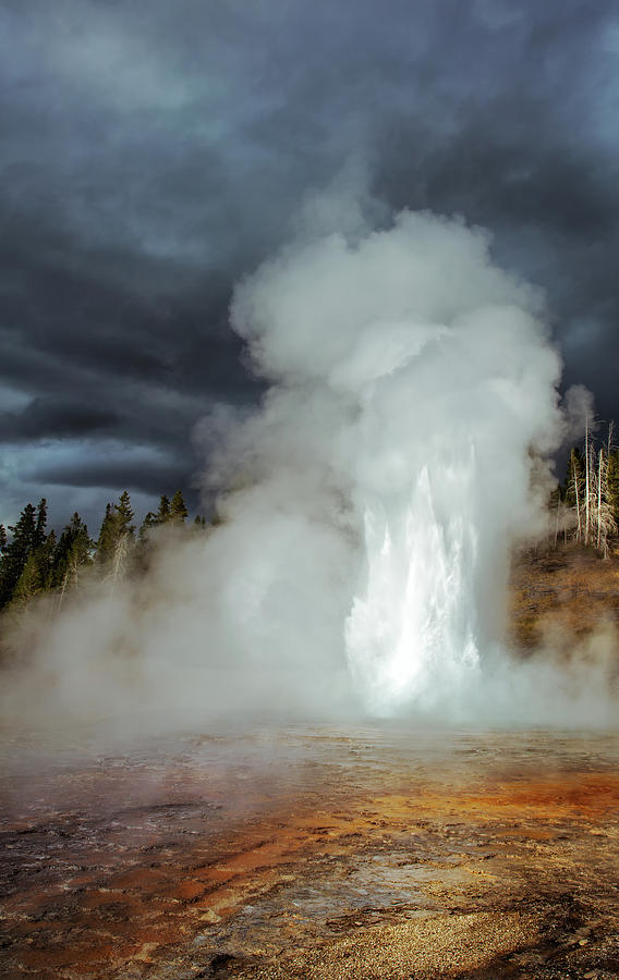 Grand Geyser Photograph by Alex Mironyuk - Fine Art America