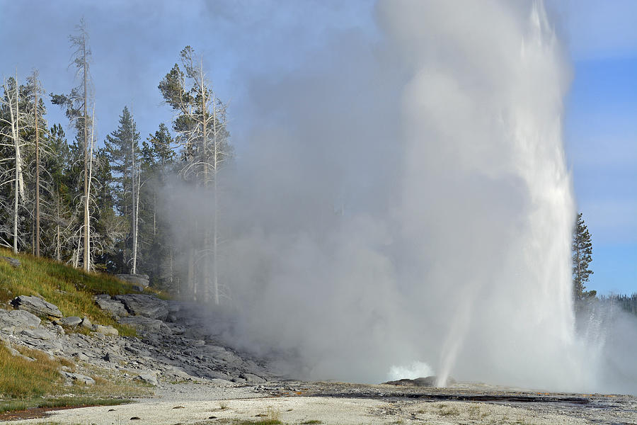 Grand Geyser and Shrouded Trees Photograph by Bruce Gourley