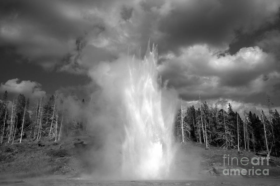 Grand Geyser Explodes Black And White Photograph by Adam Jewell