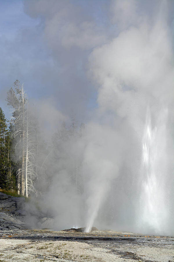 Yellowstone National Park Photograph - Grand Geyser Vertical by Bruce Gourley
