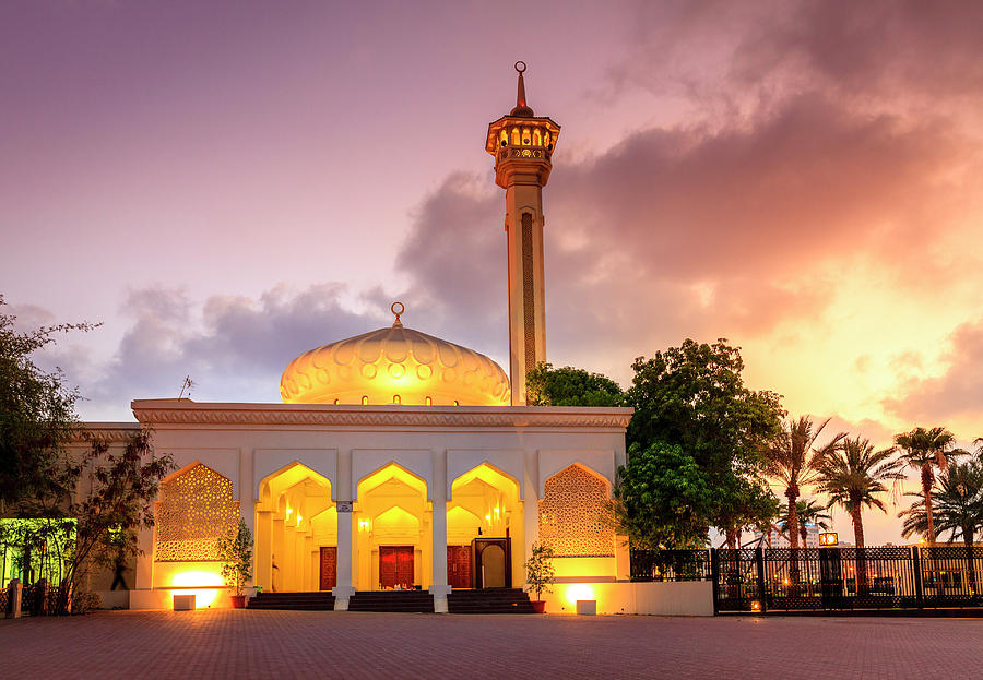Grand Mosque of Dubai Photograph by Alexey Stiop