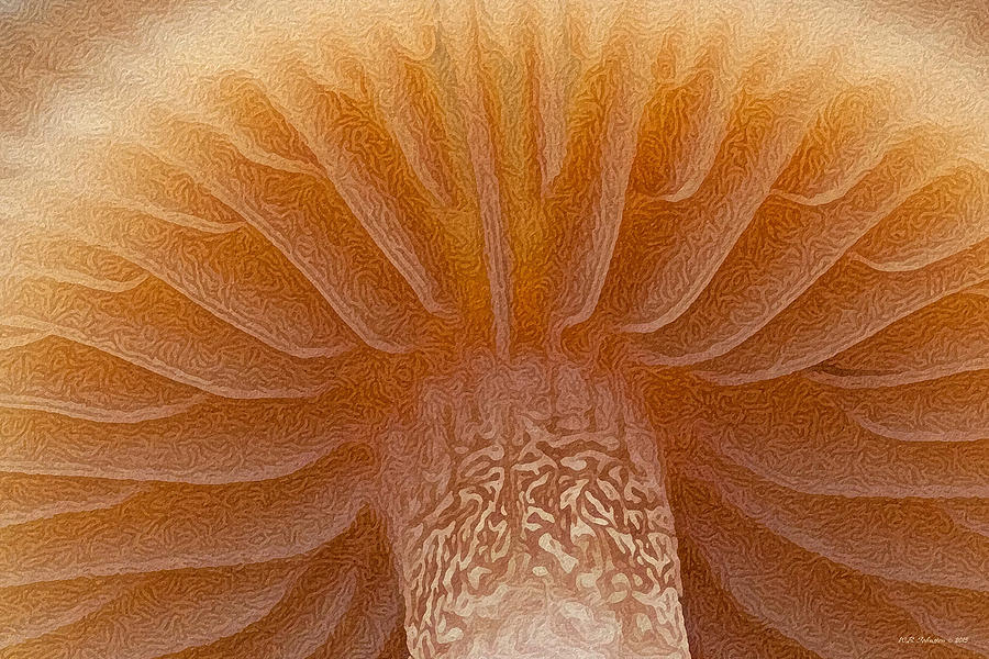 Grand Mushroom Photograph by WB Johnston
