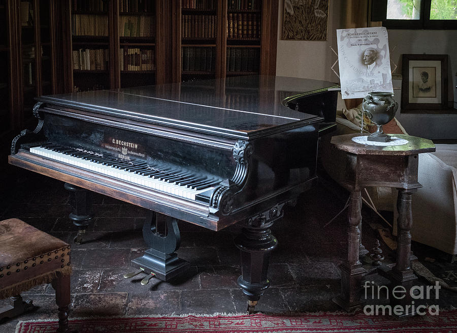 Grand Piano, Ninfa, Rome Italy Photograph by Perry Rodriguez