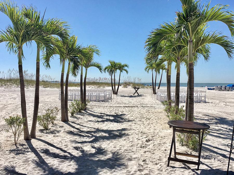 Palm Trees Photograph - Grand Plaza Beach View by Joseph Mari Palm Trees Photograph - Grand Plaza Beach View by Joseph Mari