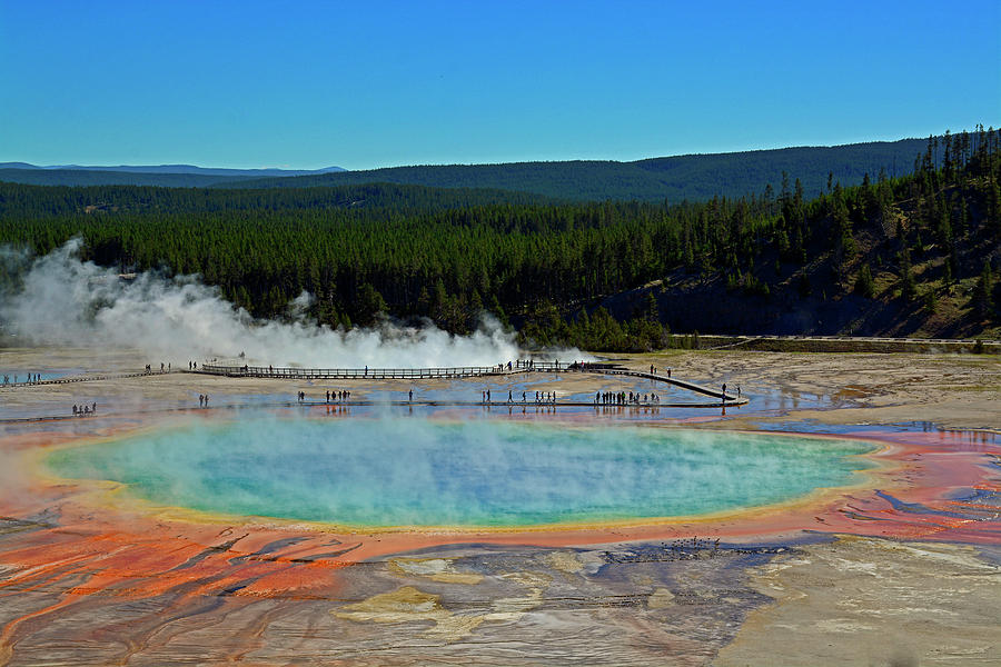 Grand Prismatic Spring Landscape Photograph by Bruce Gourley