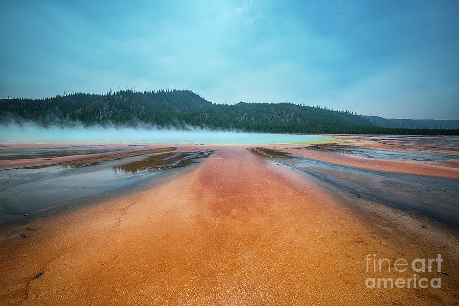 Grand Prismatic Spring Bacteria  Photograph by Michael Ver Sprill