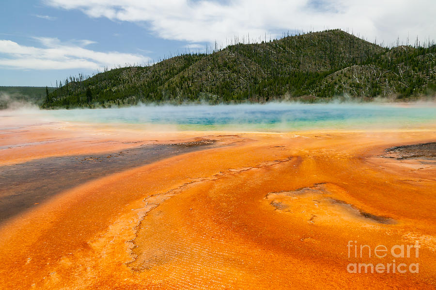 Grand Prismatic Spring Photograph by Clarence Holmes