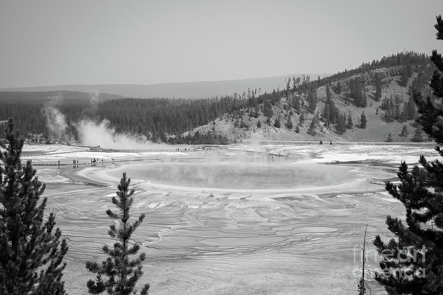 Grand Prismatic Spring From A High Point BW Photograph by Michael Ver Sprill