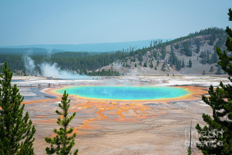 Grand Prismatic Spring From A High Point Photograph by Michael Ver Sprill