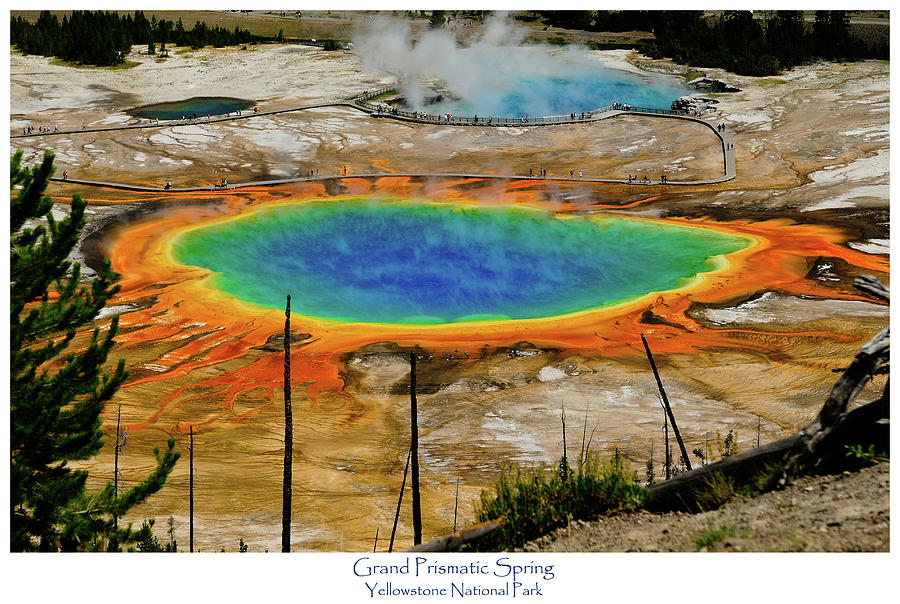 Yellowstone National Park Photograph - Grand Prismatic Spring by Greg Norrell