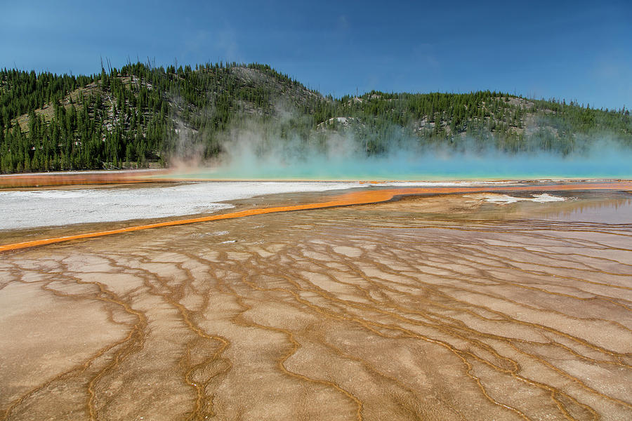 Grand Prismatic Spring in Yellowstone National Park Photograph by John McGraw