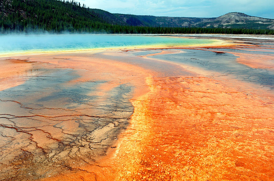 Grand Prismatic Spring Photograph by Nicholas Blackwell