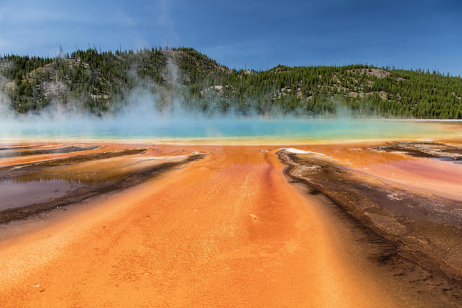Grand Prismatic Spring Yellowstone National Park Photograph by John McGraw