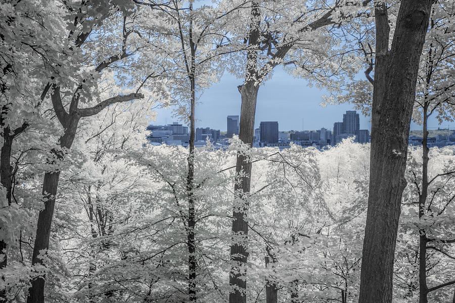 Grand Rapids Michigan Cityscape in Infrared Photograph by Randall Nyhof