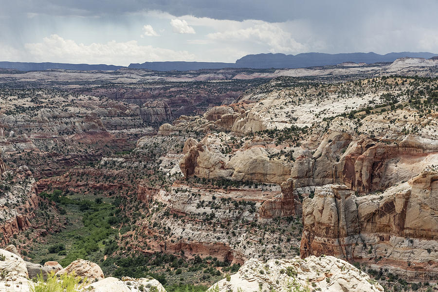 Grand Staircase Escalante Photograph by Susan Degginger - Fine Art America