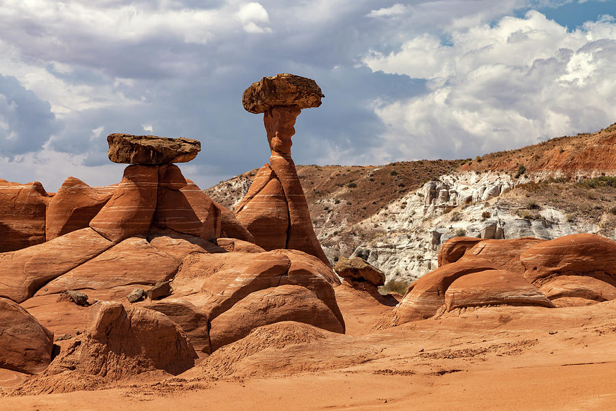 Grand Staircase Escalante Toadstools Photograph by Rick Pisio