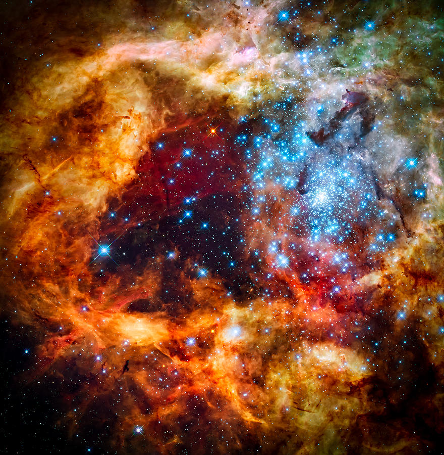 Interstellar Photograph - Grand star-forming region R136 in NGC 2070 by Space Art Pictures