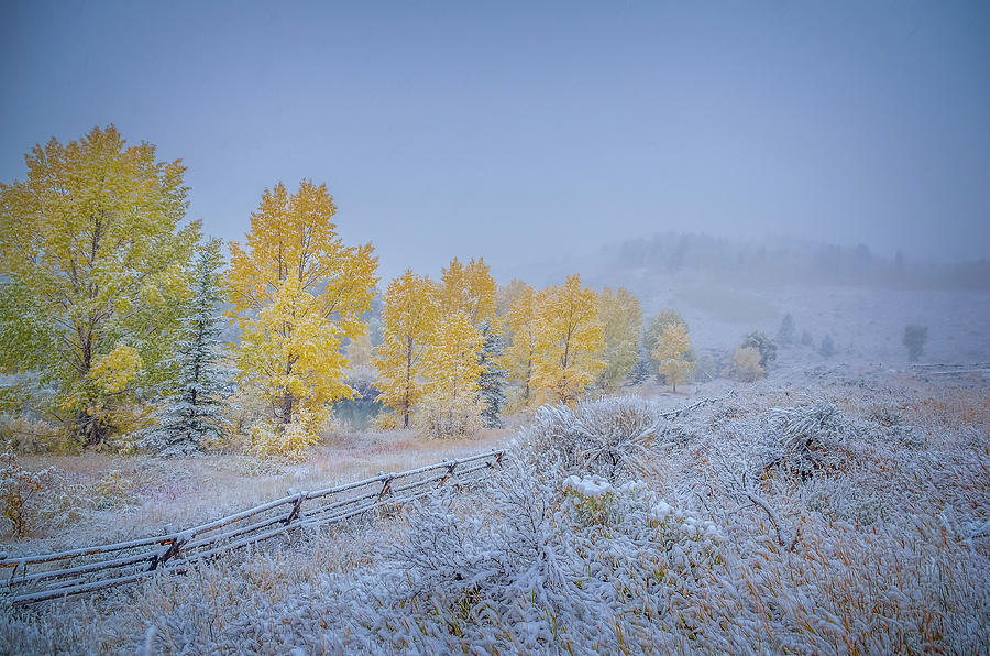 Grand Teton Fall Snowfall Scene Photograph by Scott McGuire