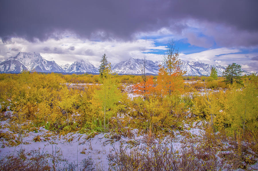 Grand Teton Fall Snowfall Photograph by Scott McGuire