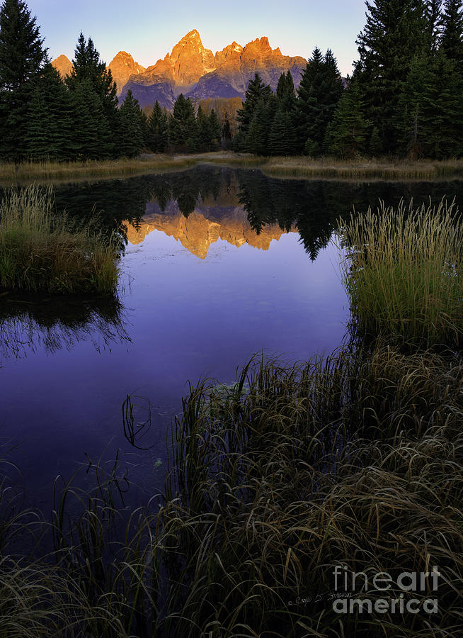 Grand Teton Morning Photograph by Craig J Satterlee