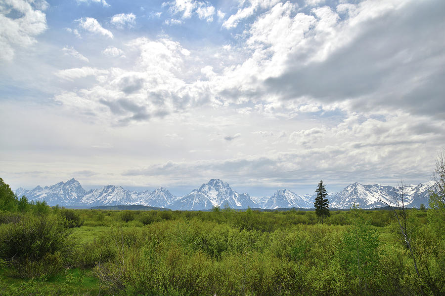 Grand Teton National Park in Wyoming Photograph by Ray Mathis