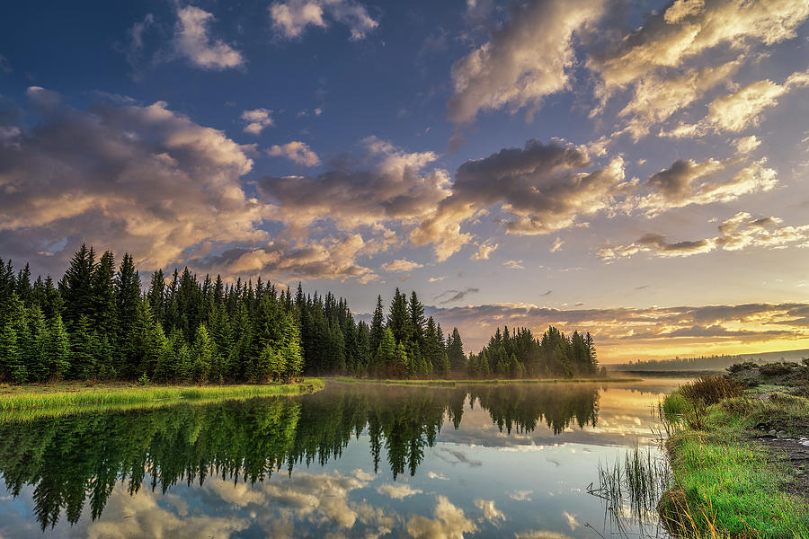 Landing Photograph - Grand Teton National Park - Spring Abounds by Jason Penland Landing Photograph - Grand Teton National Park - Spring Abounds by Jason Penland