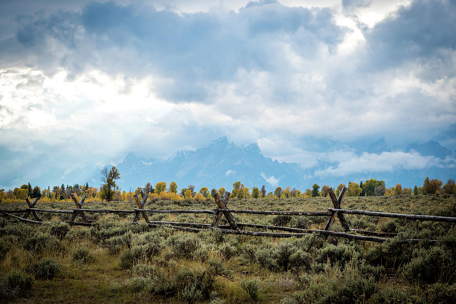 Grand Tetons Photograph by Aileen Savage