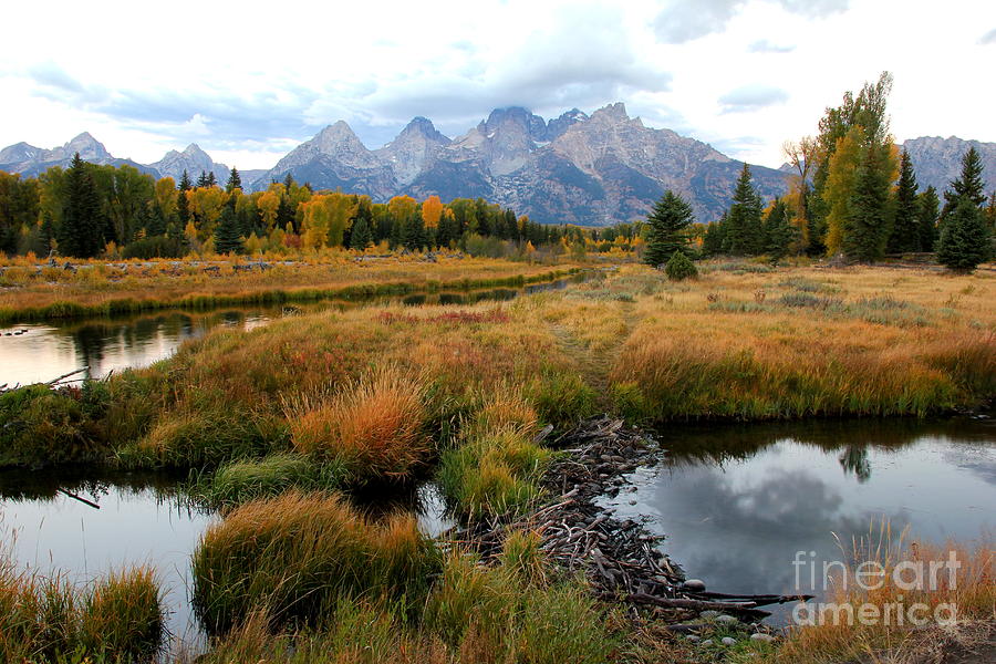 Grand Tetons by Cynthia Mask Grand Tetons by Cynthia Mask